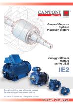 General Purpose 3-Phase Induction Motors (Energy Efficient Motors series 2SIE)