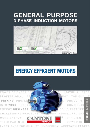 General Purpose IE3 3-Phase Induction Motors