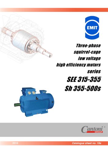 Low Voltage High Efficiency Motors