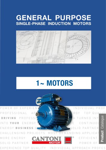 Single Phase Induction Motors