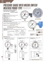 Dial Pressure Gauge - PIS5000