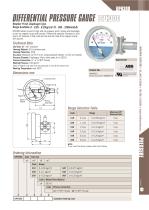 Differential Pressure Gauge - DPH300