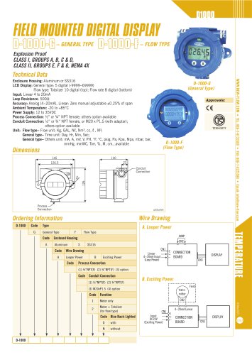 Process indicator D_1000
