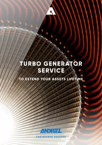 TURBO GENERATOR SERVICE