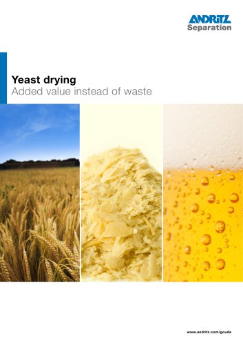 Yeast drying