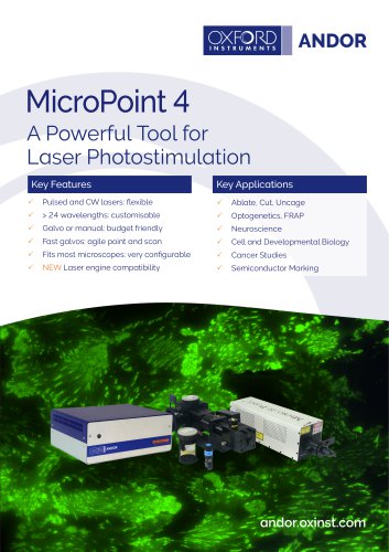 MicroPoint 4