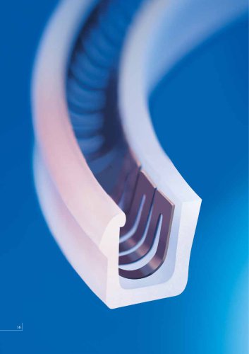 Spring-energized seals PTFE