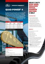 Quad Power 4 Promo sheet