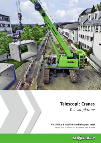 Telescopic Cranes