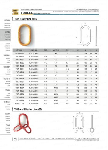 1507 TOP OBLONG MASTER LINK A805