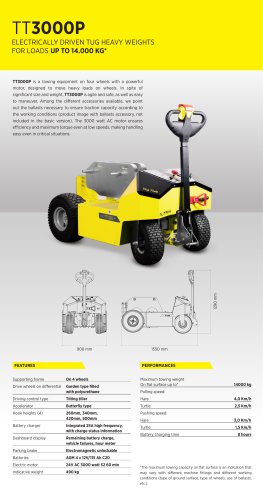 TT3000P