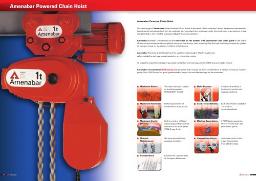 Amenabar Powered Chain Hoist