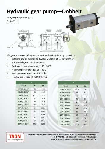 Hydraulic gear pump - Double