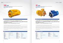 EXPLOSION PROOF THREE-PHASE ASYNCHRONOUS MOTOR FOR CONVEYOR  YBS SERIES