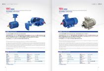 HIGH EFFICIENCY EXPLOSION-PROOF THREE-PHASE ASYNCHRONOUS MOTOR  YBX4 SERIES