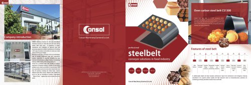 consol steel belt