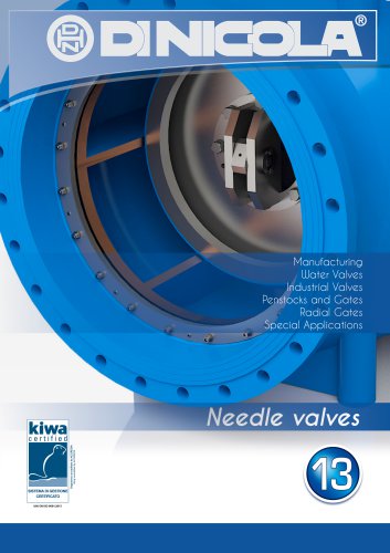 Needle - plunger valve