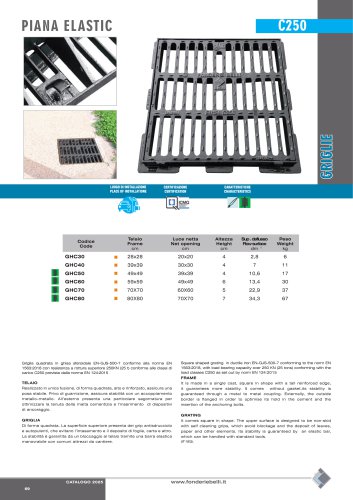 ELASTIC FLAT GRATE - CLASS C250