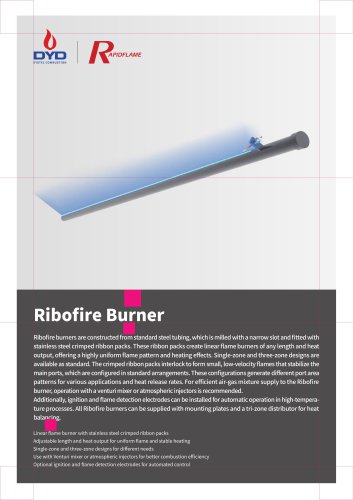 DYD Nozzle mix burner Ribofire