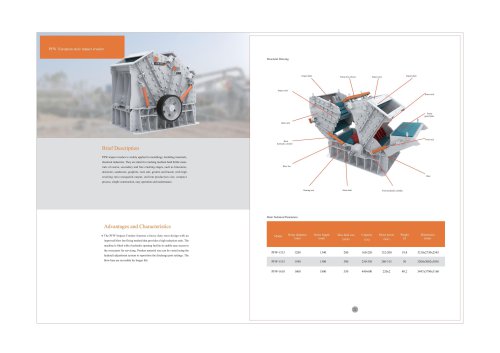 DM Euro Version Impact Crusher PFW 131