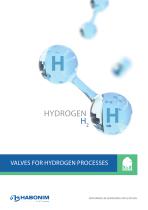 VALVES FOR HYDROGEN PROCESSES