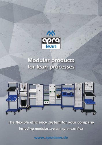 Modular products  for lean processes