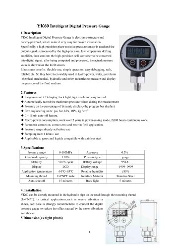 Pressure gauge with LCD display YK60