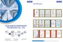 Temperature calibrator WT