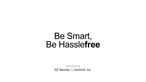 DZSecurity