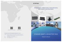 TEFOO BATTERY Catalog
