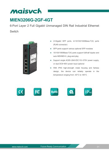 MIEN3206G-2GF-4GT