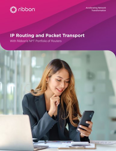 IP Routing and Packet Transport