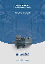 Brake motors