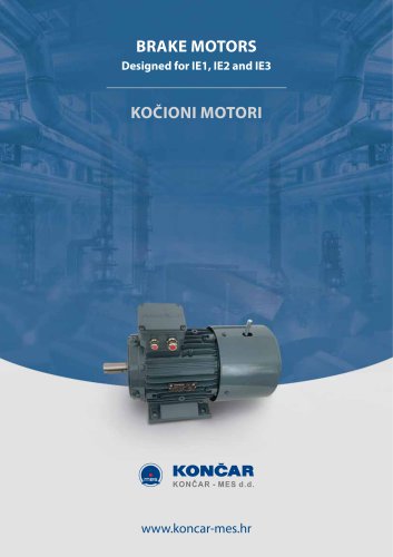 Brake motors