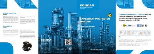 Explosion protected motors