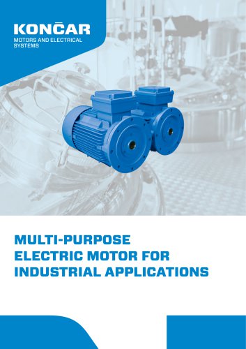MULTI-PURPOSE ELECTRIC MOTOR FOR INDUSTRIAL APPLICATIONS