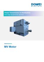 Dowei Electric MV Motor TEFC