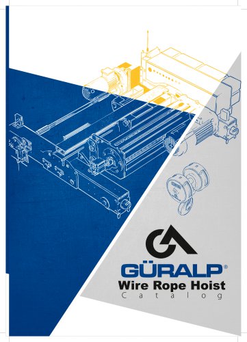 Wire rope hoist
