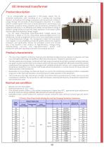 Oil immersed transformer