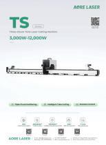 TS6020
