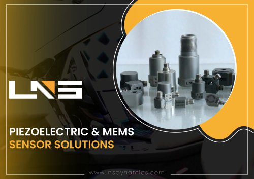 LNS Brochure (4pg)