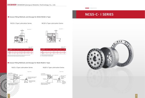 strian wave gearbox NCGS-C-I SERIES