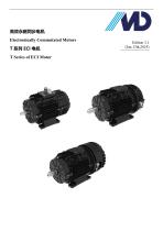 T Series of ECI Motor