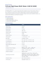 CW110BLBT-03630-L1-H_datasheet.pdf