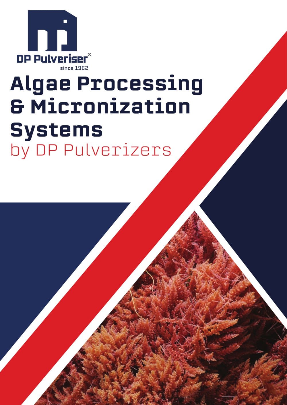 Algae Processing System  - DP Mills