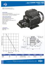 Self priming gears pump Fuel-Diesel oil: JEV30 - JEV31