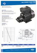 Self priming gears pump Fuel-Diesel oil: JEV50 - JEV51