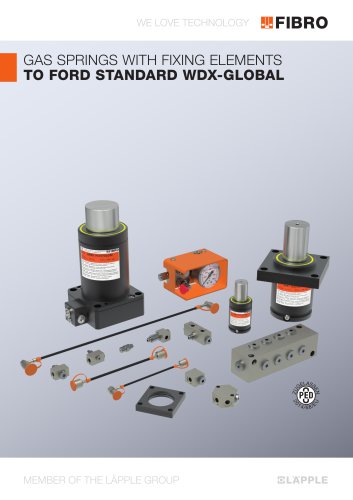 11/2019 Gas Springs with fixing elements to FORD Standard WDX-Global