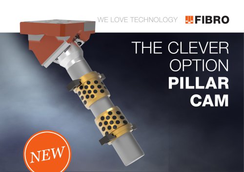 THE CLEVER OPTION PILLAR CAM