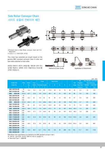 Side Roller Conveyor Chain